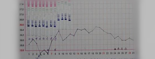 有經(jīng)驗的工廠